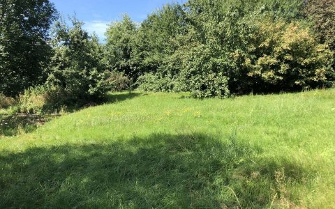 1565 Ansicht 5
