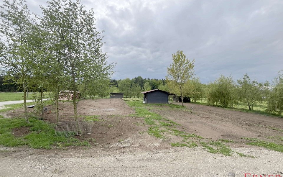 1502 Wiese