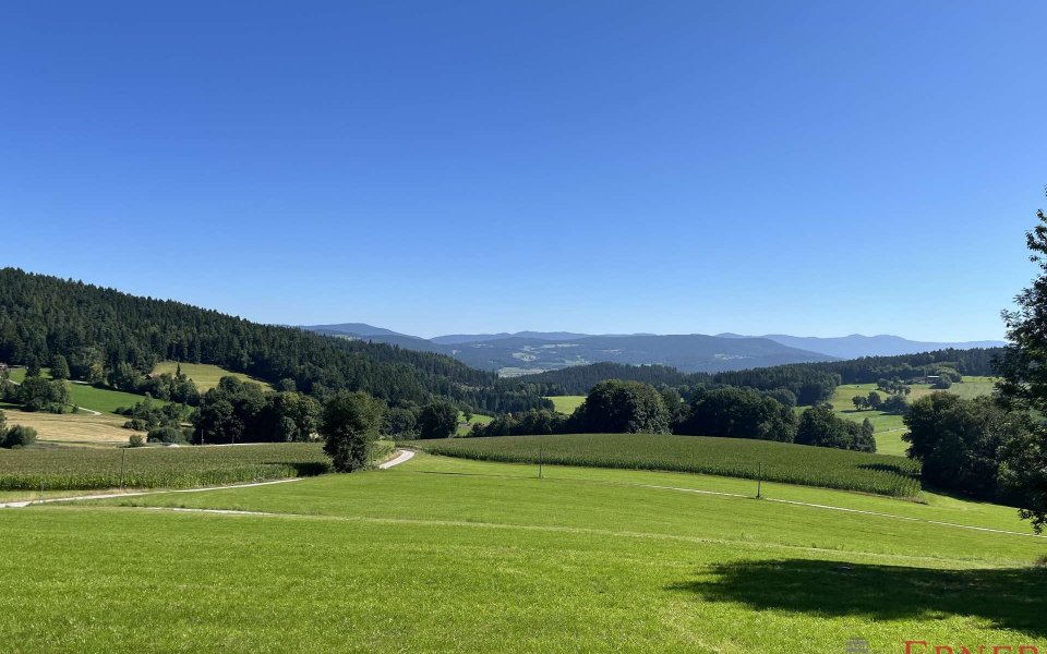 Aussicht von Wiese