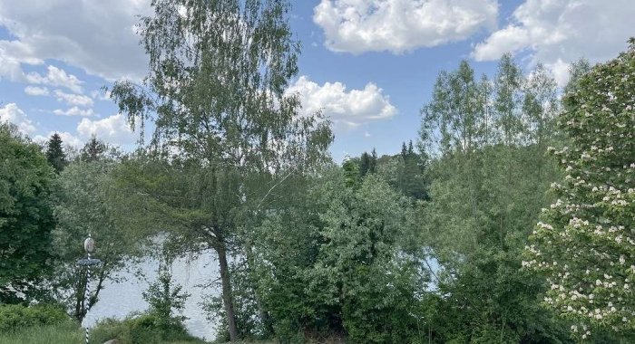 Aussicht